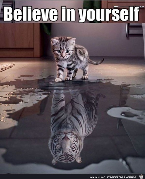 believe believe