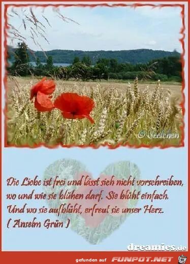 Die Liebe