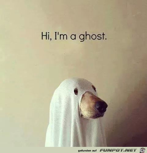 Geist Geist
