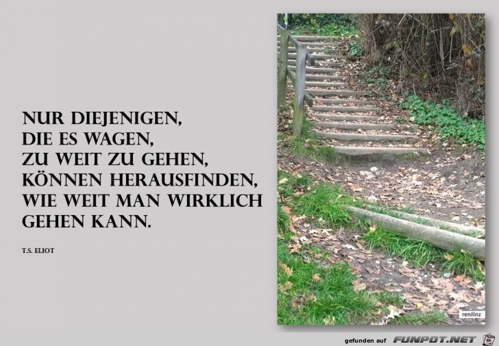 Nur diejenigen Nur diejenigen