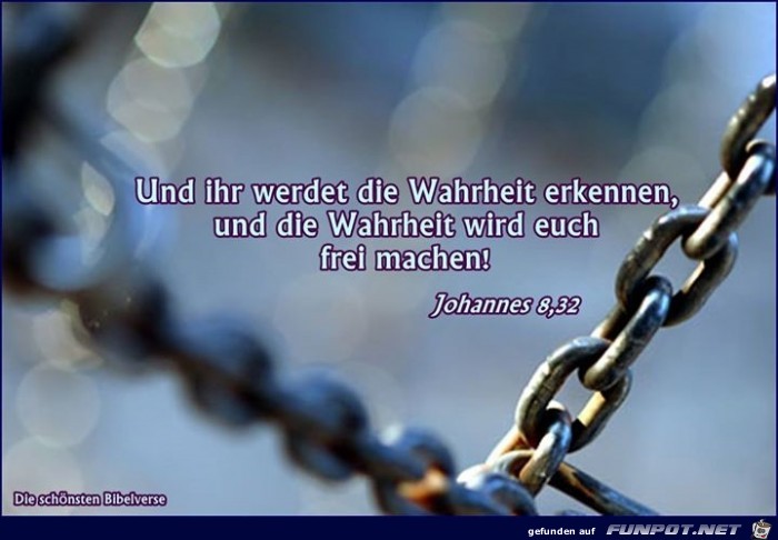 Johannes 8 32