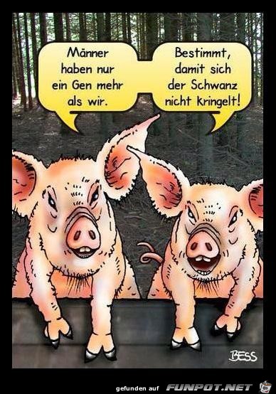 Maenner Maenner