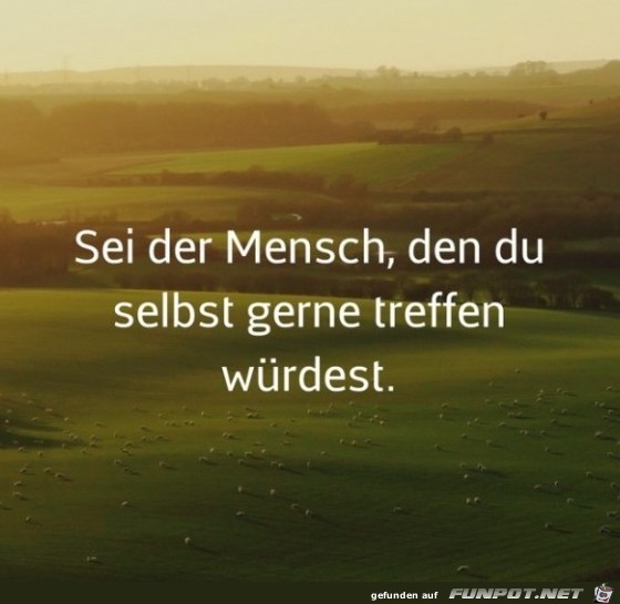 sei-der-mensch-