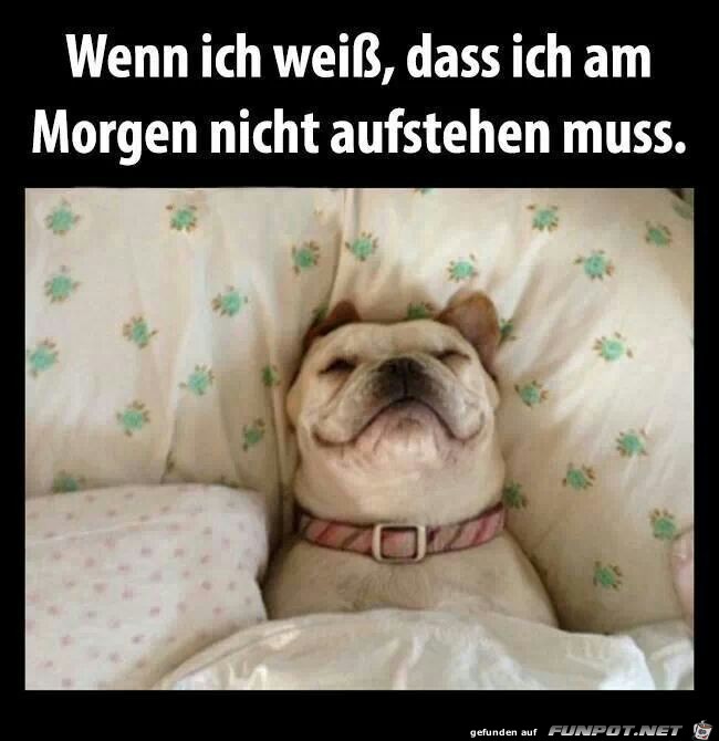 nicht aufstehen nicht aufstehen