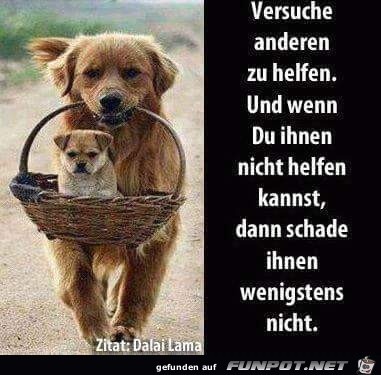 helfen