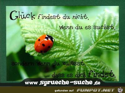 Glueck findest vdu nicht Glueck findest vdu nicht