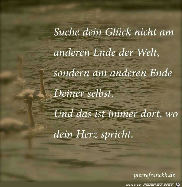 Suche Dein Glück... Suche Dein Glück...