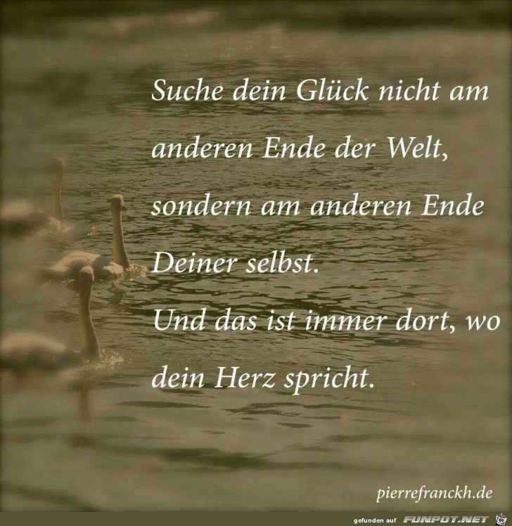 Suche Dein Glck...