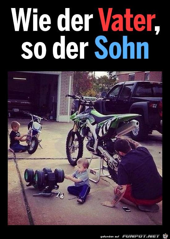 Wie der Vater Wie der Vater
