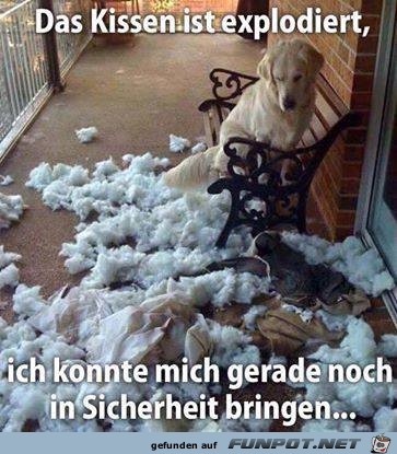 Das Kissen ist explodiert Das Kissen ist explodiert