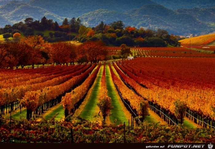 Wunderschoene Herbst-Impressionen 6 Wunderschoene Herbst-Impressionen 6