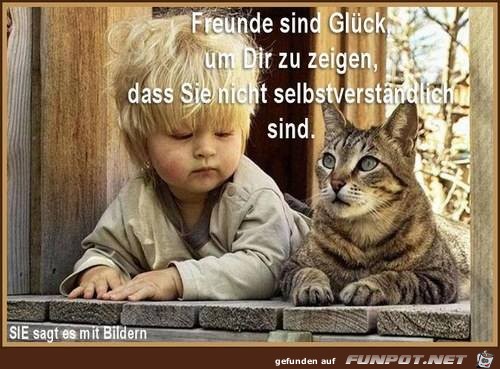 Freunde sind Glueck