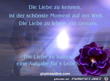 die Liebe zu kennen