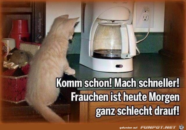 schlecht drauf schlecht drauf
