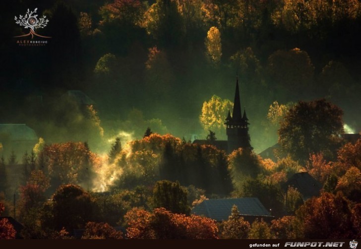 Tolle Orte, die du im Herbst besuchen kannst!