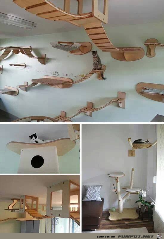 Katzenparadies Katzenparadies