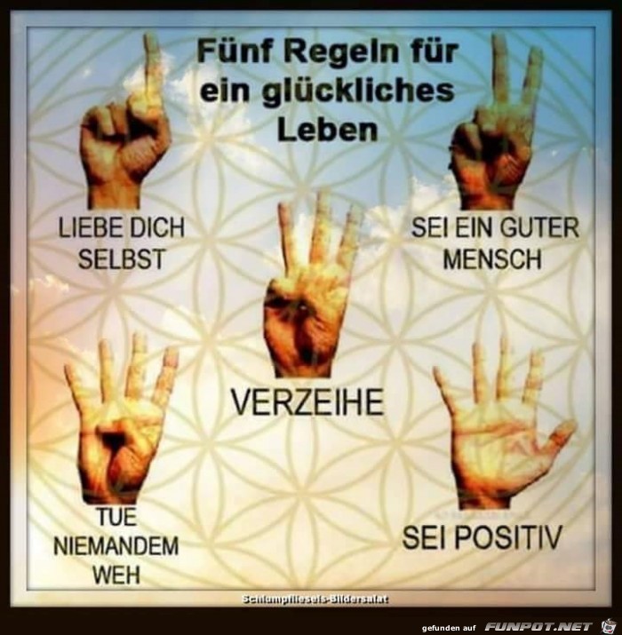 fünf regeln fünf regeln