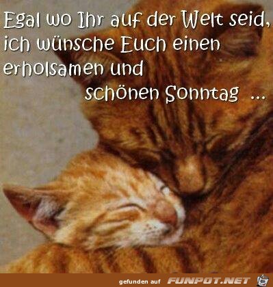 Sonntag Sonntag