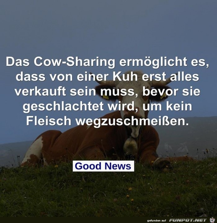 cow sharing