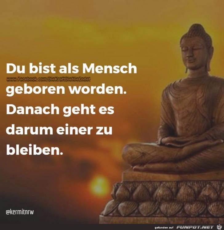 du bist als Mensch du bist als Mensch