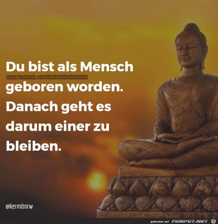 du bist als Mensch