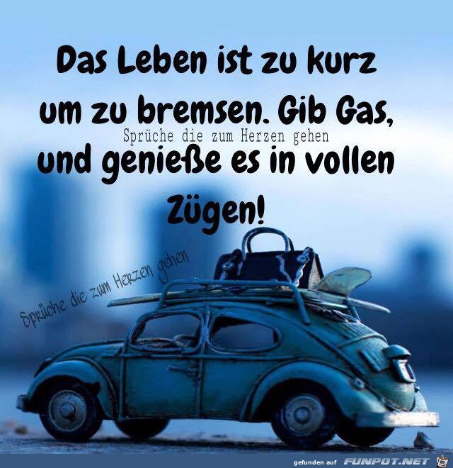 Das Leben ist kurz Das Leben ist kurz