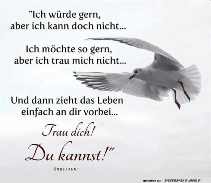 10 schöne Sprüche und Lebensweisheiten aus... 10 schöne Sprüche und Lebensweisheiten aus...