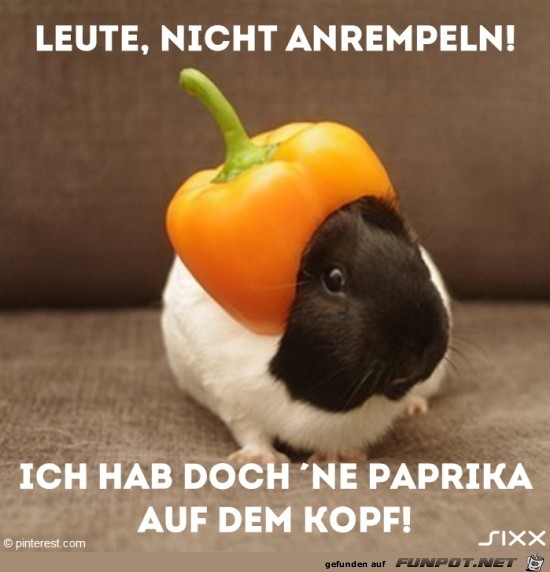 Paprika Paprika