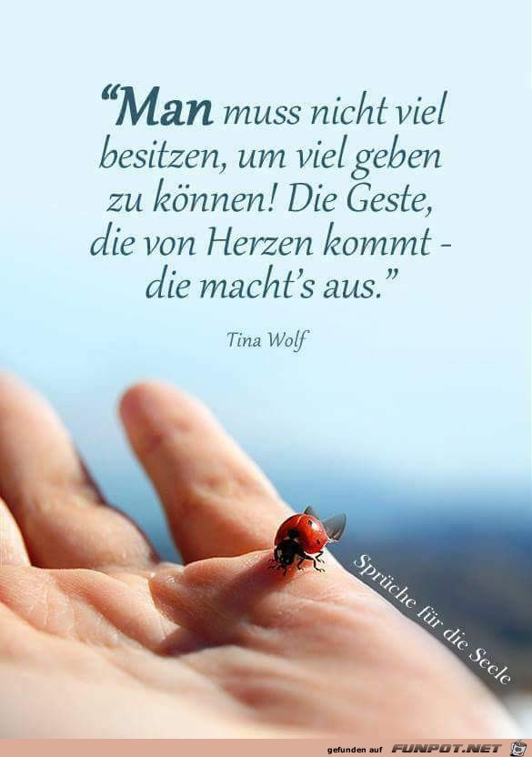 man muss nicht viel besitzen man muss nicht viel besitzen