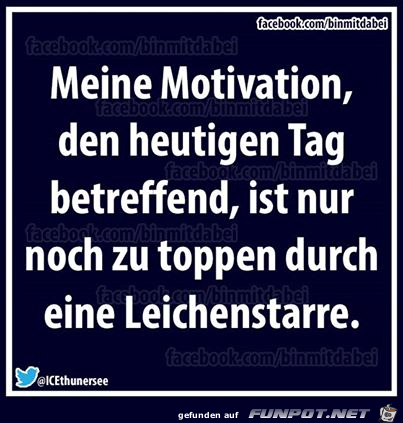 meine motivation