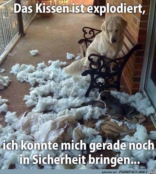 Das Kissen ist explodiert