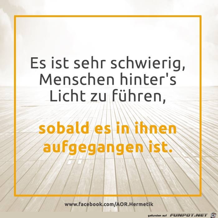 hinters Licht