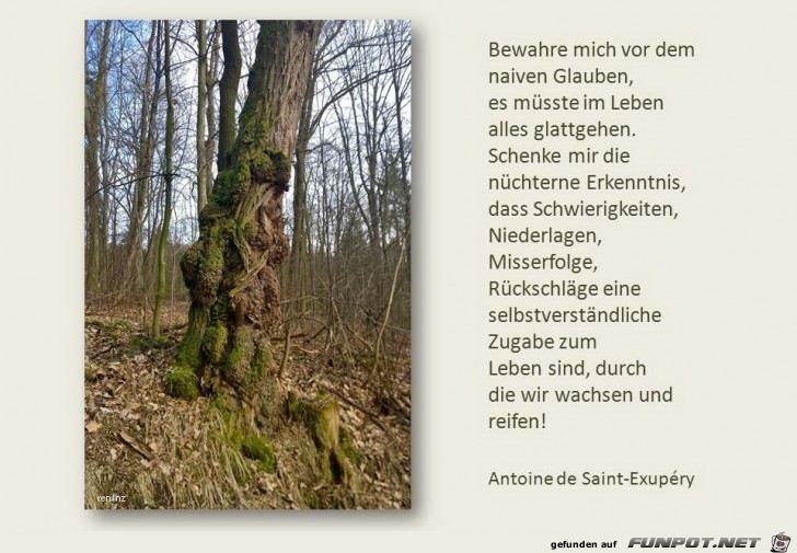 Bewahre mich Bewahre mich