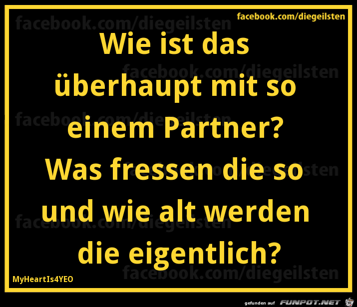diegeilsten Partner diegeilsten Partner