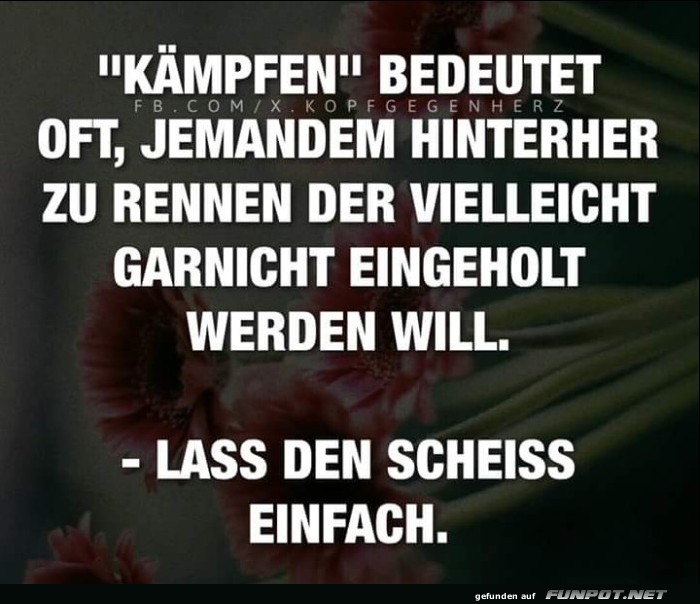 10 schöne Sprüche und Lebensweisheiten aus... 10 schöne Sprüche und Lebensweisheiten aus...