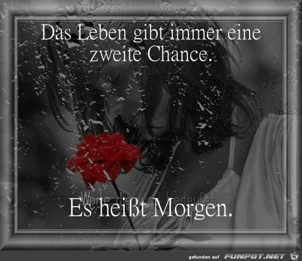 Das Leben gibt immer... Das Leben gibt immer...