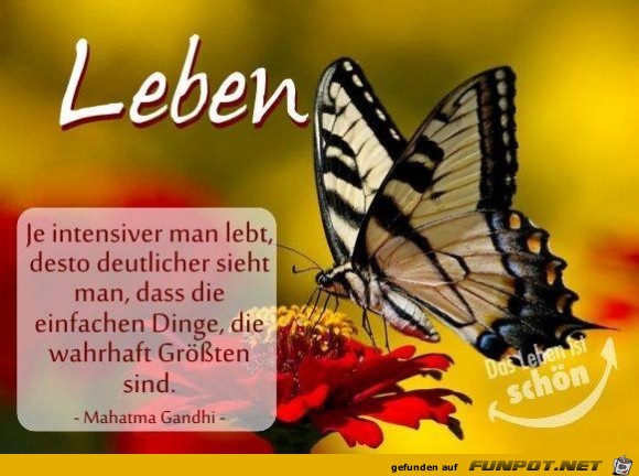 Leben