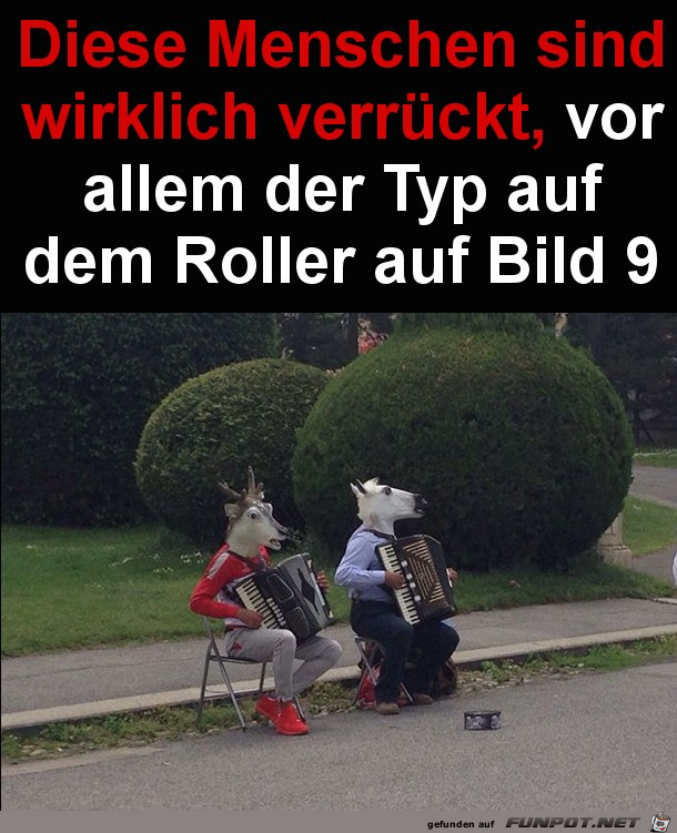 Wirklich verrueckt Wirklich verrueckt