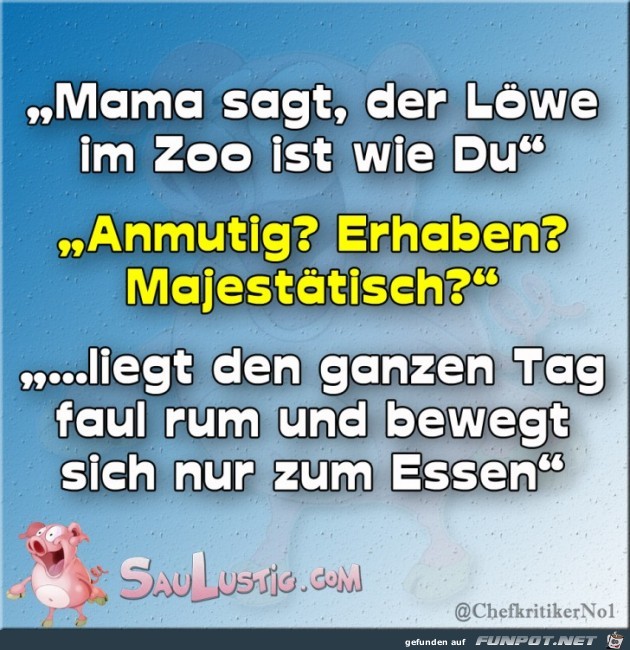 Der-Loewe-im-Zoo