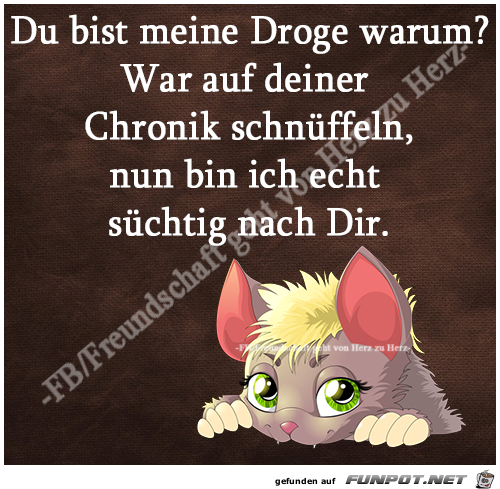 Du bist meine Droge warum