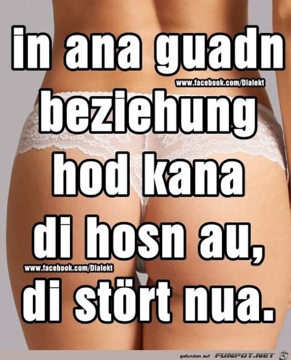 hosn hosn