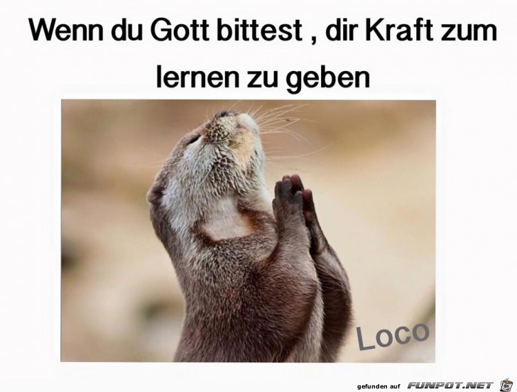 Wenn du Gott bittest Wenn du Gott bittest