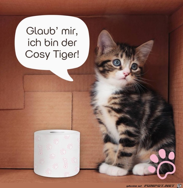 Cosy Tiger Cosy Tiger
