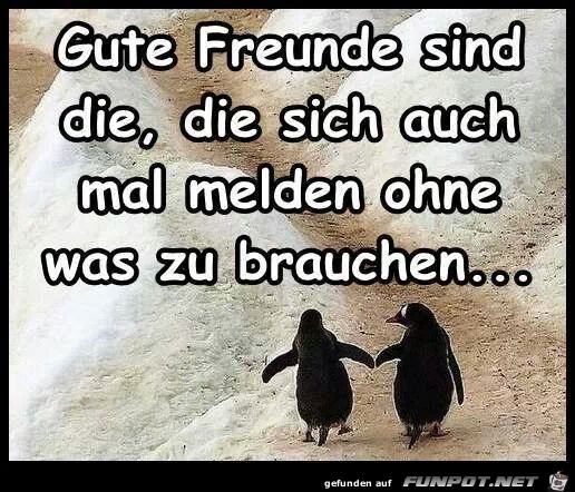 Gute Freunde Gute Freunde