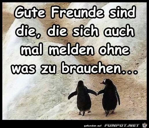 Gute Freunde