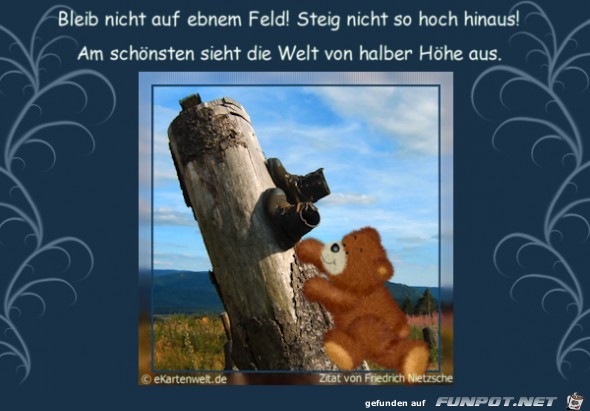 steig nicht so hoch