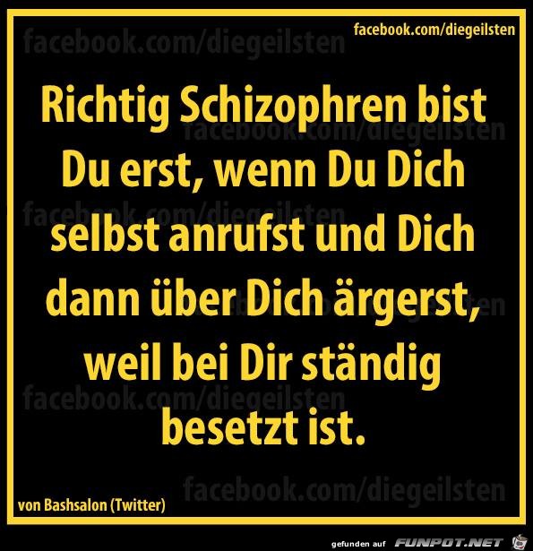 diegeilsten shizophren diegeilsten shizophren