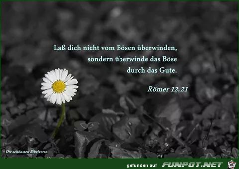Roem 2 Roem 2