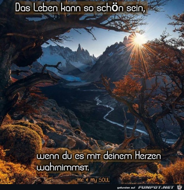 mit dem Herzen mit dem Herzen