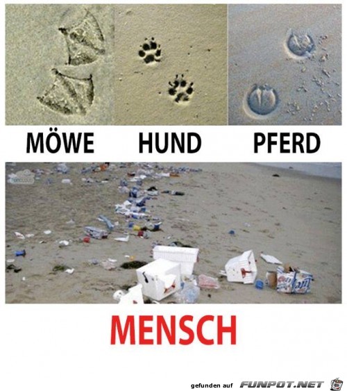 spuren spuren